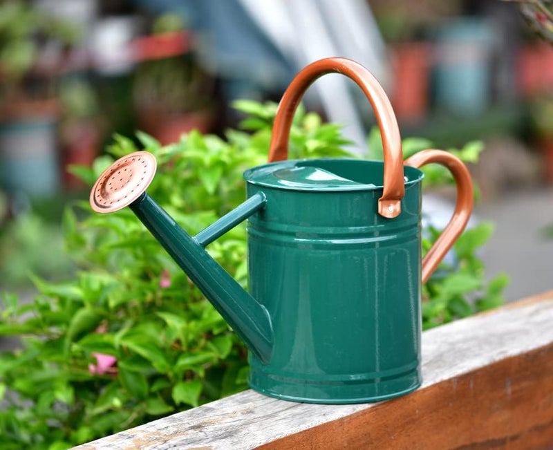 yourjoy Steel Watering Can Sliver Galvanized Steel Watering Can with Copper Accents,Removable Rosette-Diffuser,One-Gallon Green - Image 3